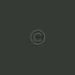 Testimonial Icon image